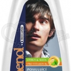 PANTHENOL šampón na mastné vlasy a lupiny 500ml